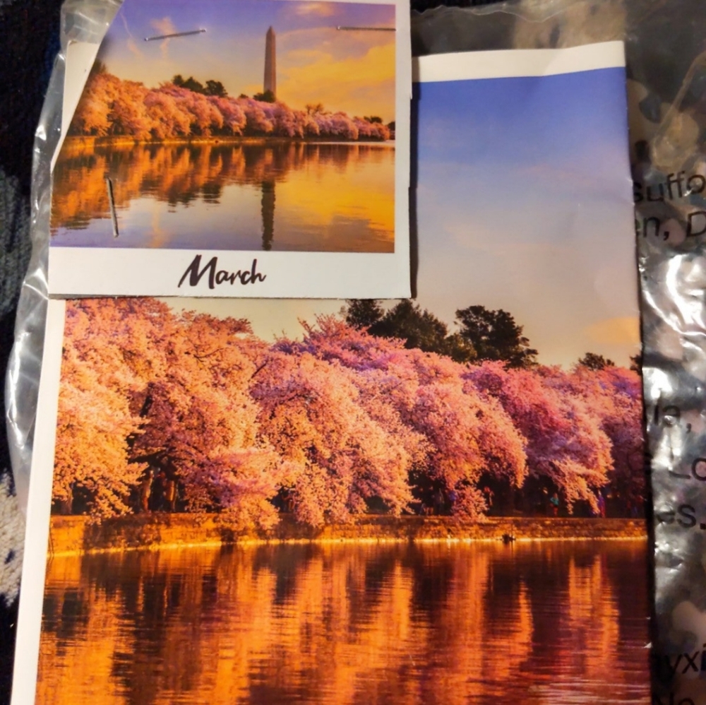 Puzzle March Flowers 500 Pieces NWOB